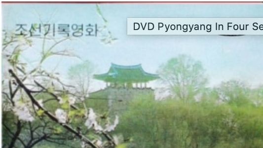 Image Pyongyang in Four Seasons