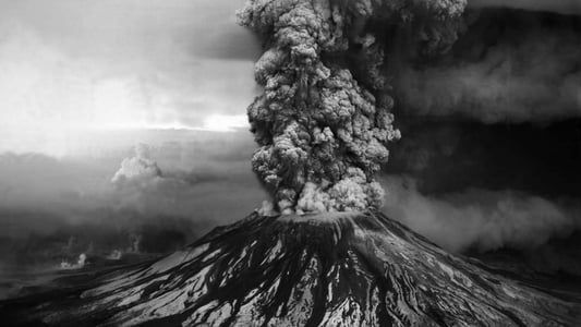 Image The Eruption of Mount St. Helens!