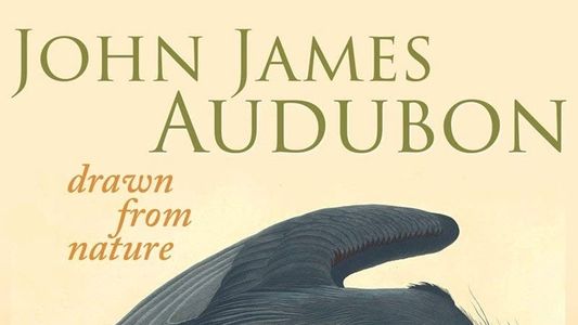 John James Audubon: Drawn From Nature