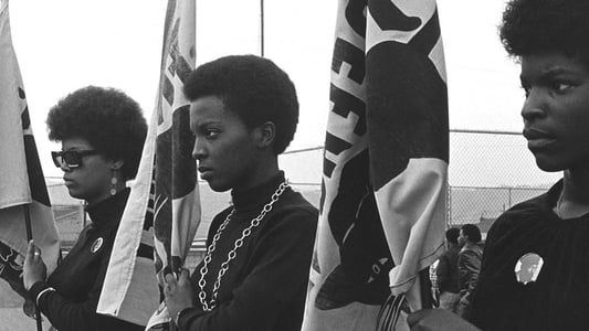 Image The Black Panthers: Vanguard of the Revolution