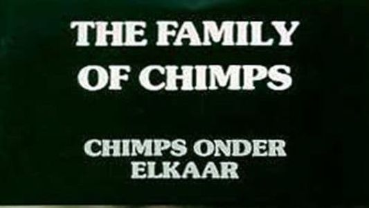 Chimps Onder Elkaar