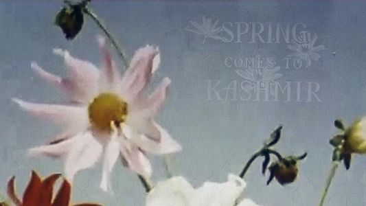 Image Spring Comes to Kashmir