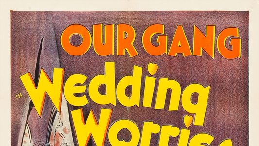 Image Wedding Worries