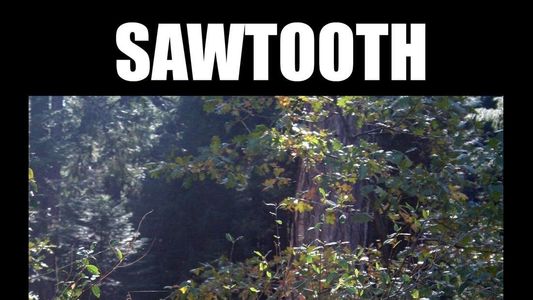 Image Sawtooth