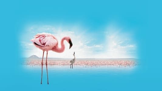 Image The Crimson Wing: Mystery of the Flamingos