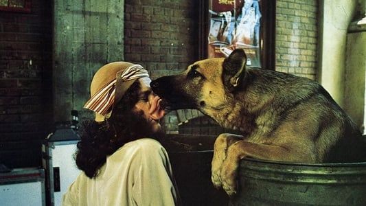 Image Won Ton Ton: The Dog Who Saved Hollywood