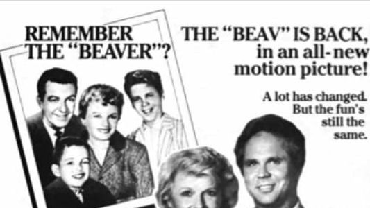 Still the Beaver