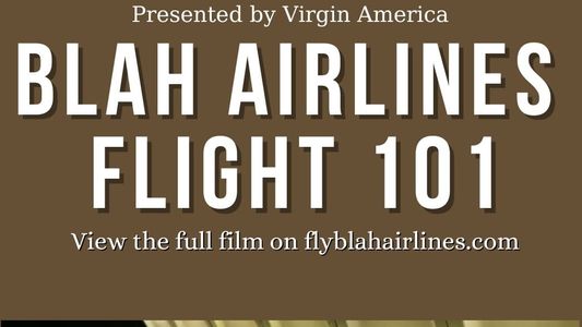 Image Blah Airlines Flight 101