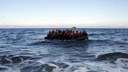 Fuocoammare, par-delà Lampedusa