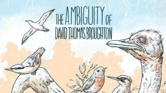Image The Ambiguity of David Thomas Broughton