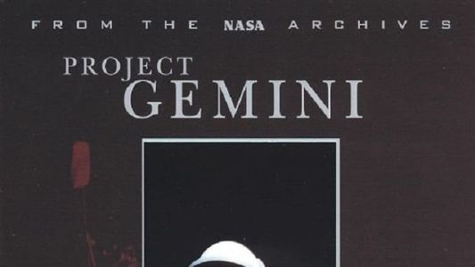 Image Project Gemini: A Bold Leap Forward