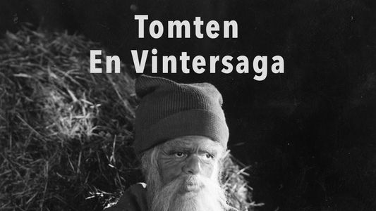 Tomten : En vintersaga av Gösta Roosling