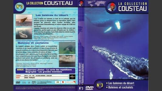 La collection Cousteau N°3 | Les baleines du désert | Baleines et cachalots