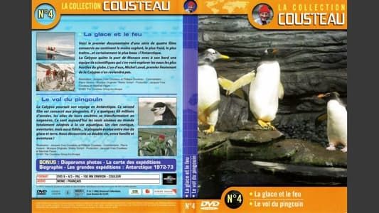 La collection Cousteau N°4 | La glace et le feu | Le vol du Pingouin
