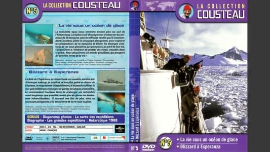 La collection Cousteau N°5 | La vie sous un océan de glace | Blizzard à Esperanza