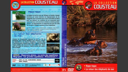 La collection Cousteau N°6 | Hippo, Hippo | Le retour des éléphants de mer