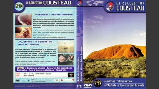 La collection Cousteau N°7-2 | La nuit des calmars