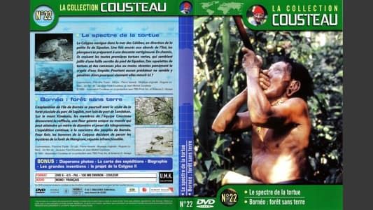 La collection Cousteau N°22 | Le spectre de la tortue | Bornéo : forêt sans terre