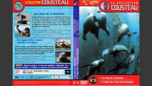 La collection Cousteau N°16-1 | Îles du Détroit: les eaux de la discorde
