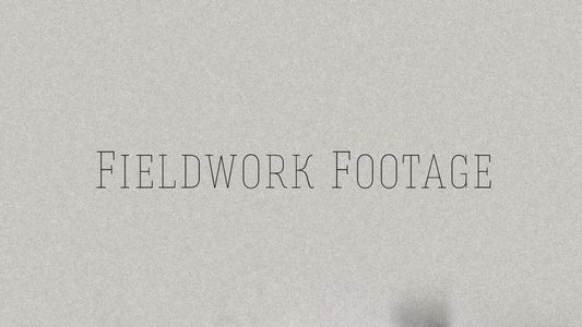 Fieldwork Footage