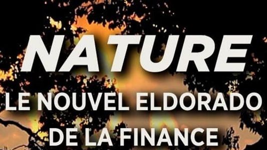 Image Nature, Le Nouvel Eldorado de la Finance