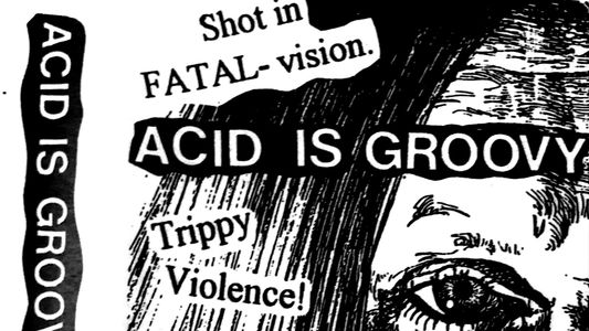 Acid Is Groovy Kill the Pigs