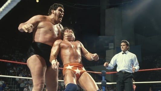 Image Andre the Giant