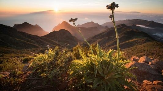 Image The Canary Islands