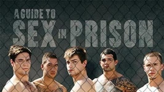 A Guide to Sex in Prison