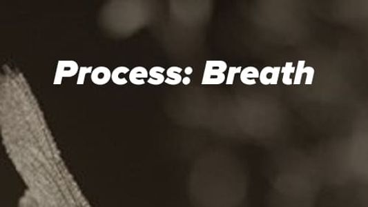Image Process: Breath
