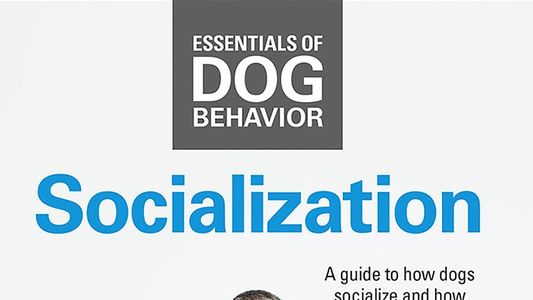 Image Essentials of Dog Behavior: Socialization