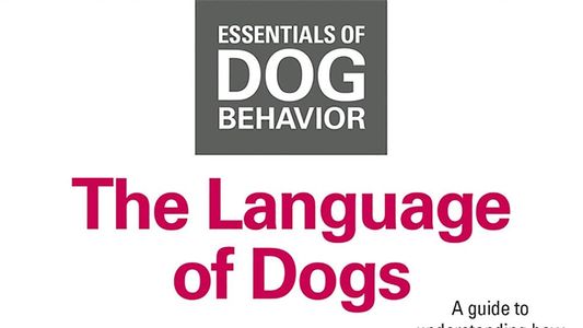 Essentials of Dog Behavior: The Language of Dogs