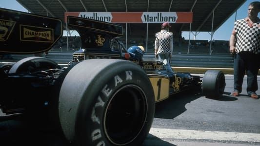 Image Superswede: A film about Ronnie Peterson