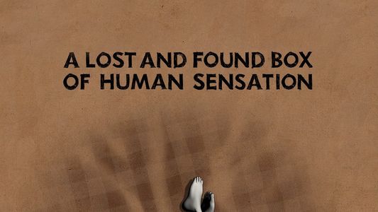 A Lost and Found Box of Human Sensation