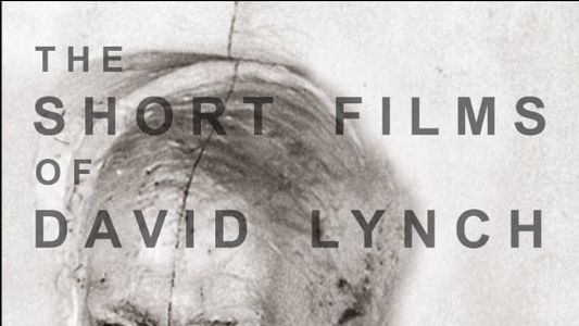 Image The Short Films of David Lynch