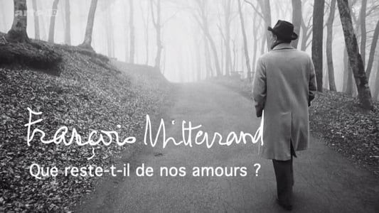 François Mitterrand - Que reste-t-il de nos amours ?