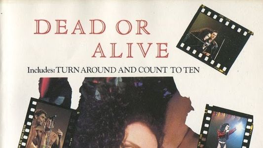 Dead or Alive: Rip it Up Live