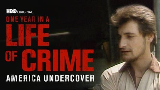 Image One Year in a Life of Crime