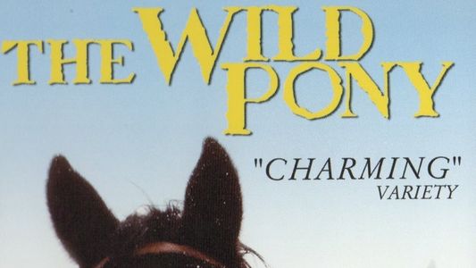 The Wild Pony