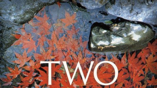 Image Two Autumns: Andy Goldsworthy