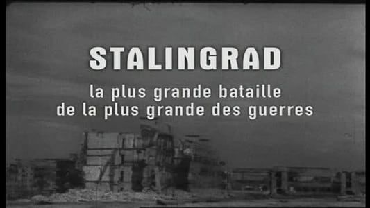 Stalingrad, la plus grande bataille de la plus grande des guerres