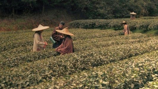 Les aventures de Robert Fortune ou comment le thé fut vole aux Chinois