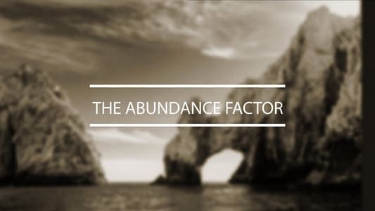 Image The Abundance Factor