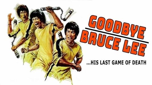Image Goodbye Bruce Lee: His Last Game of Death