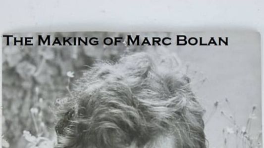 The Making of Marc Bolan