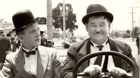 Image Laurel et Hardy - Compagnons de voyage