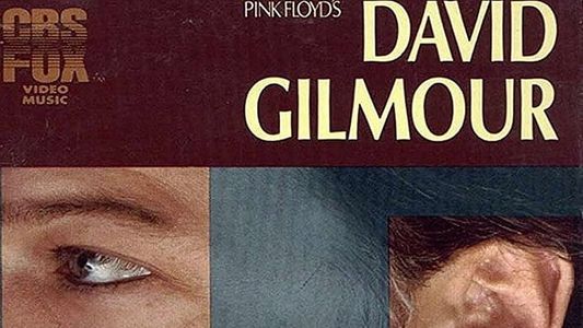 David Gilmour: Live 1984