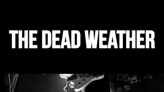 The Dead Weather: Live at Roxy