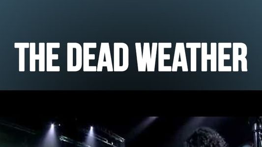 The Dead Weather: Live at Concert Prive, Canal +