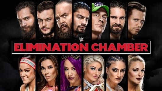 Image WWE Elimination Chamber 2018